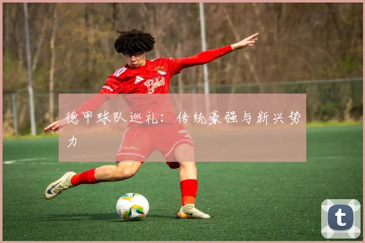 德甲球队巡礼：传统豪强与新兴势力