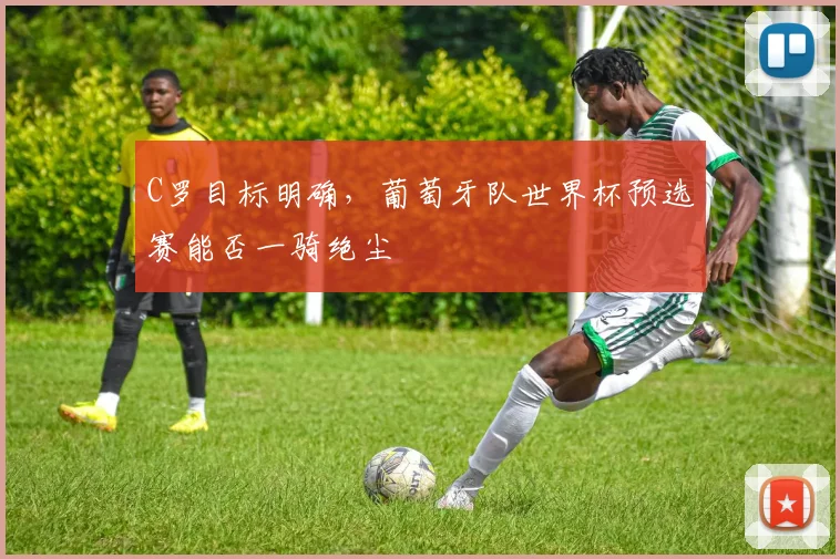 C罗目标明确，葡萄牙队世界杯预选赛能否一骑绝尘